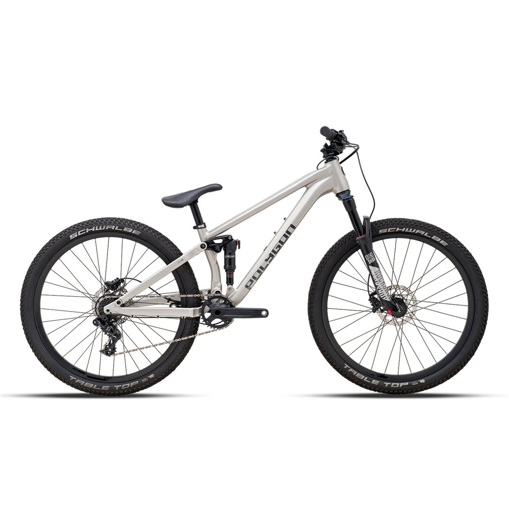 Bicicleta Polygon Trid ZZ Silver 26