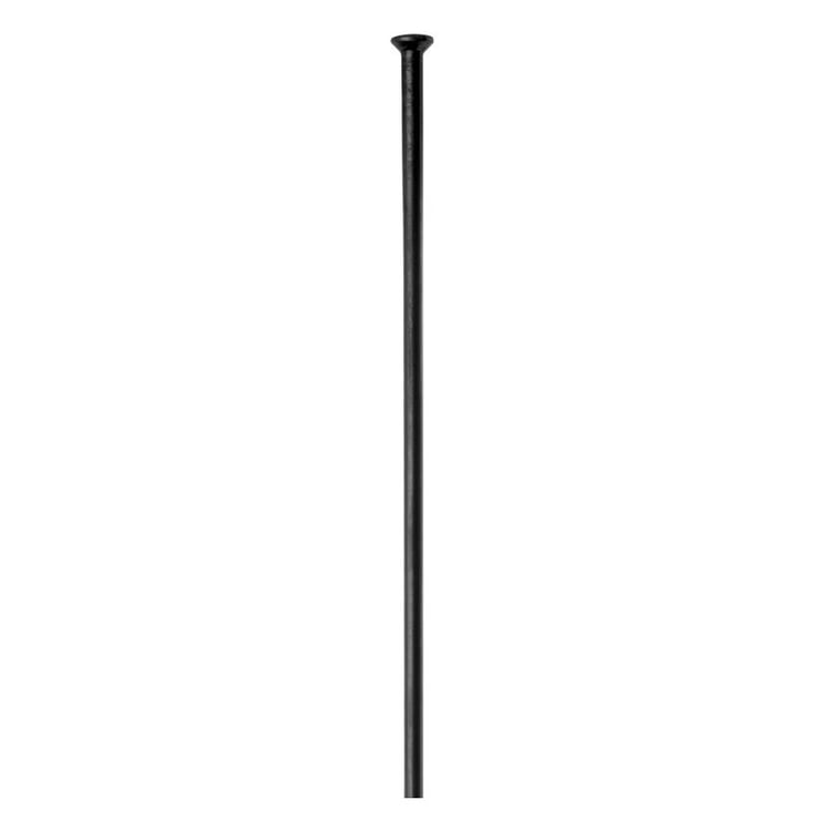 Spita DtSwiss Champion Straightpull Negru - PlayBike.ro